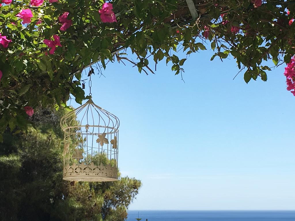 123 Soleil Studios Agia Marina  Екстер'єр фото